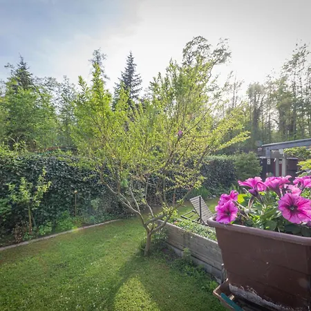 Modernes Mit 2 Schlafzimmern 2 Bädern Nahe Bodensee&bregenzerwald Dornbirn